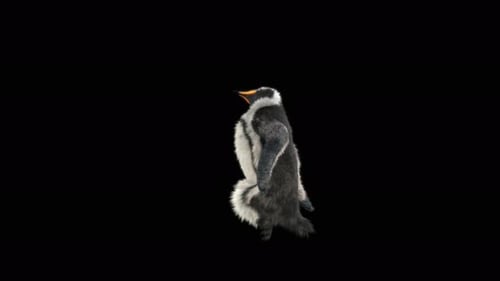 Penguin Dancing 4K