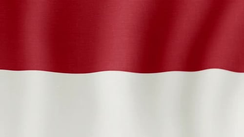 Indonesia Flag Waving Realistic Motion Background