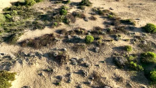 Texture of dust aerial view 4 K Turkey Side