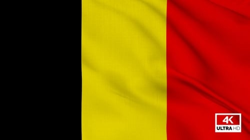 Realistic Vertical Belgium Flag Waving Animation
