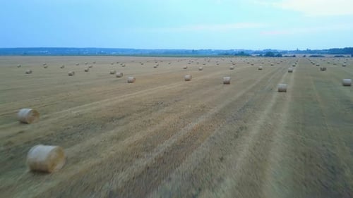 Farm Field With Hay Bales