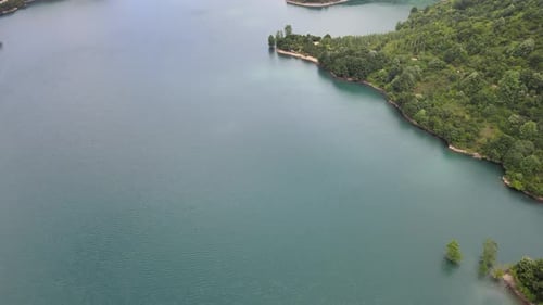 aerial view river forest