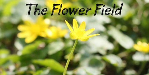 The Flower Field 6