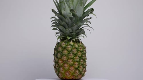 Pineapple 01