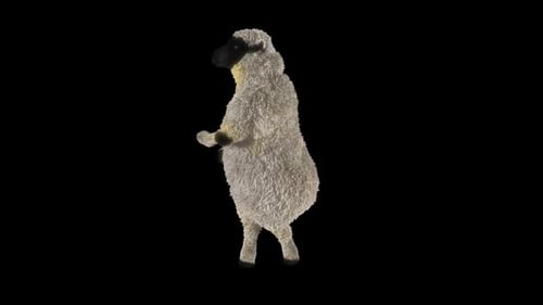 3D Animated Sheep Dancing on Black Background