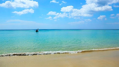 Tropical Seascape