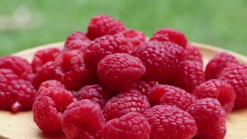 Fresh Raspberry rotation