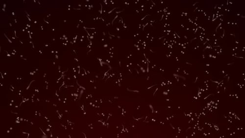 verschiedene Lebensformen in einem Wassertropfen. die Simulation des Protozoenorganismus