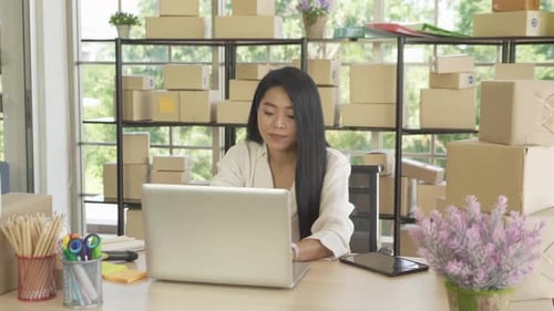 Woman Working At Desk In Home Business Office