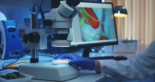 Scientist Examining Specimen Under Microscope in Lab