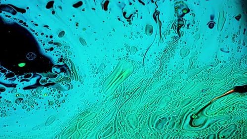 Virus cells or bacterias under microscope lens