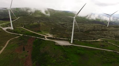 Wind Farm in the Fog at Sunrise