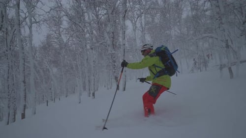 Freestyle Ski Downhill In The Forest - 4K