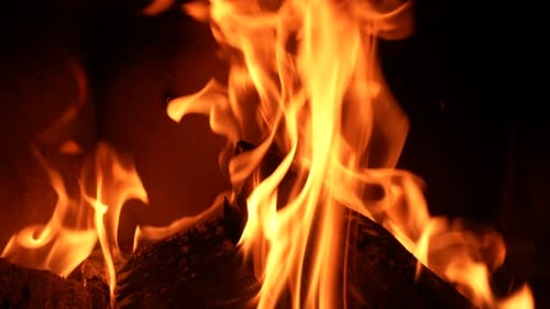 Burning Fireplace Flames in Close Up View