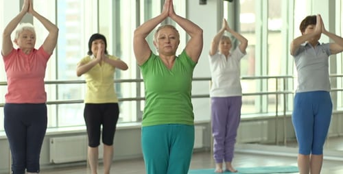 Senior Women Practicing Yoga Together in Bright Room