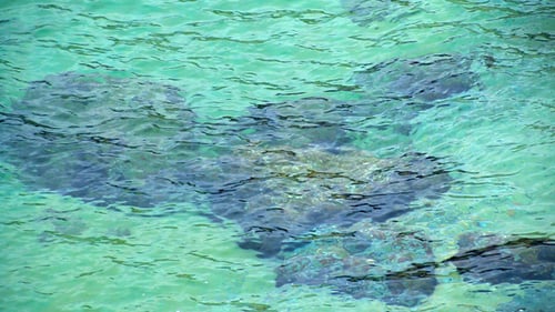 Turquoise Seabed
