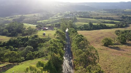 Rural road near farming landscape. Countryside rural scenery.