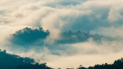 Fog Flowing On The Mountain