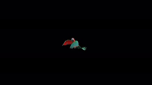 Parrot Circle Fly