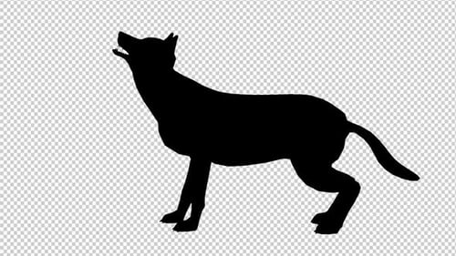 Animated Black Dog Howling Silhouette Loop
