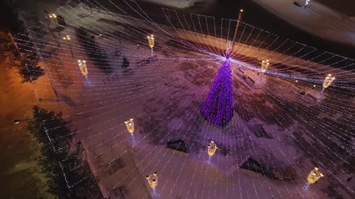 Aerial View of Christmas Tree at Night
