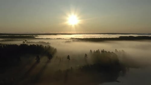 Fog Drifting Across Forest at Sunrise