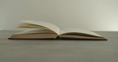 Pages Turning in an Open Book