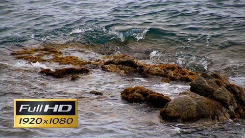 Sea Rocks 1