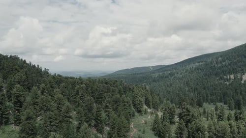 Green forest and mountains under blue sky with white clouds