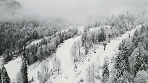 Aerial View of a Beautiful Winter Landscape with Snowy Green Coniferous Forest
