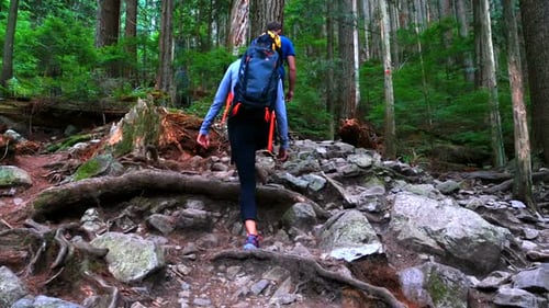 Hiker couple hiking in forest