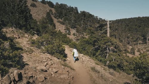 Woman Tourist Traveler Walk Rocky Wild Path Way in Highland Mountain Green Forest Countryside