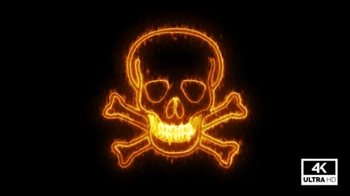 Fiery Skull and Crossbones Outline Reveal Animation