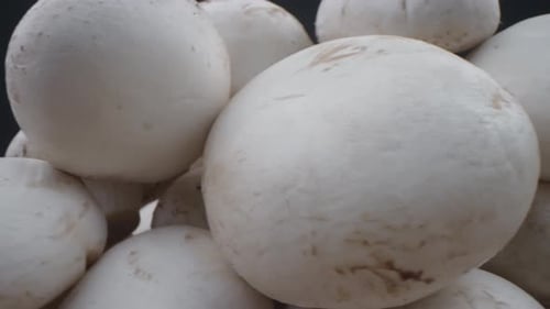 Pile of White Mushrooms in Close-Up