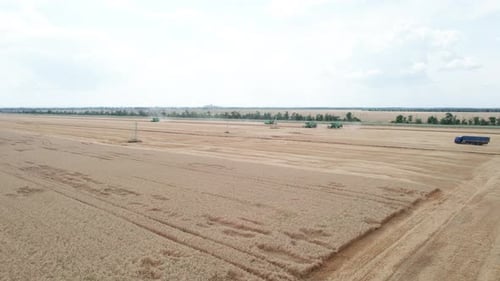 Vista aérea de máquinas cosechadoras que trabajan en un campo de trigo
