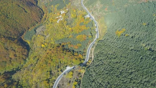 Cars Driving at Beautiful Scenic Road in the Autumn Forest, Aerial View From Drone. Travel