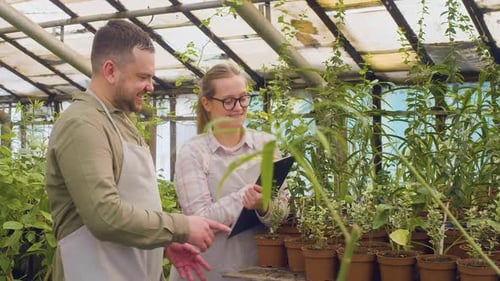 Botanists Examining Plants in Greenhouse