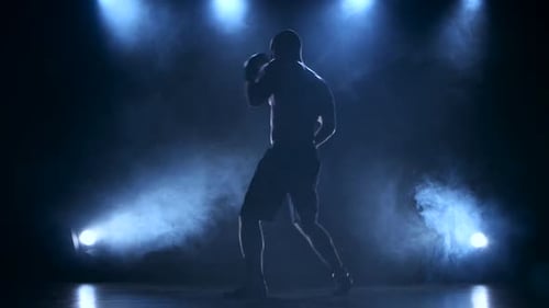 Sportsman Boxer Concentrates Attention Before the Fight. Silhouette