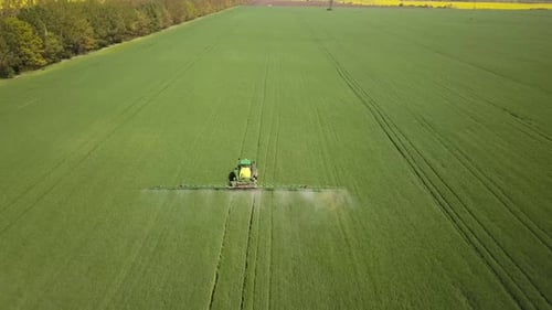 Aerial view of a tractor spraying chemical pesticides with sprayer on the large green field