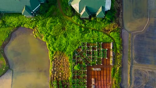 Vue aérienne par Drone, au-dessus d'une ferme abandonnée entourée de rizières