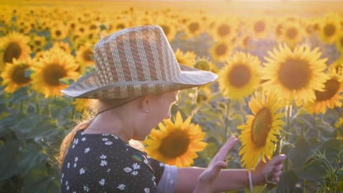 A Happy Little Girl in the Hat Is Smiling at the Field of Sunflowers at Sunset Time