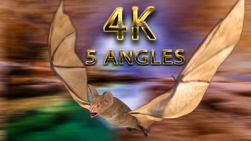 Realistic Flying Bat Animation with Alpha Channel