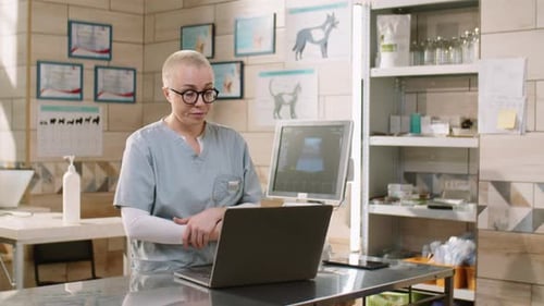 Veterinarian Using Laptop Computer in Veterinary Clinic