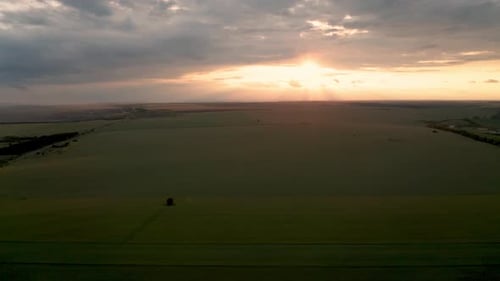 Drone flight above green field at sunset