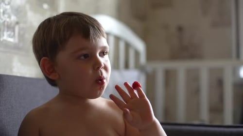 Child Eating Raspberries Indoors