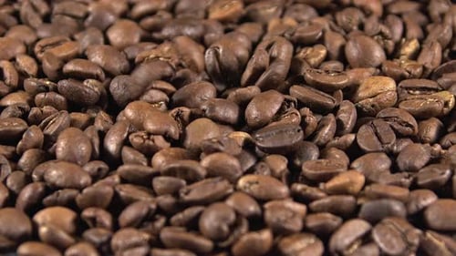 Roasted Coffee Beans Falling on Pile