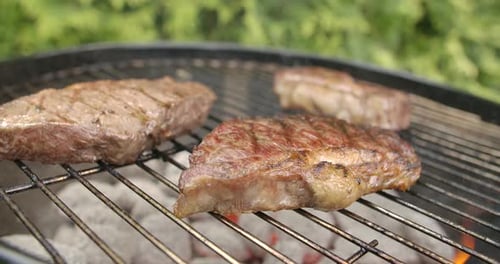 Grilled Sirloin