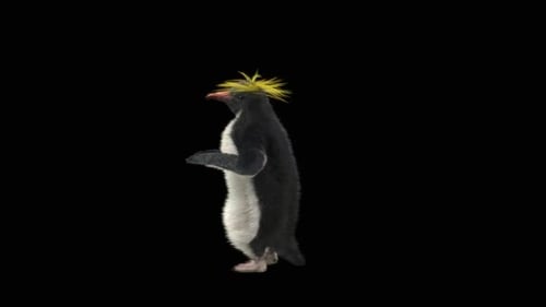 Animated 3D Penguin Walking Seamless Loop