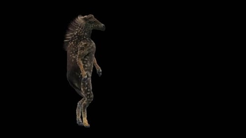 Spotted Creature Dancing Loop Animation