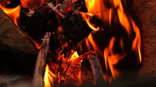 Feu de camp